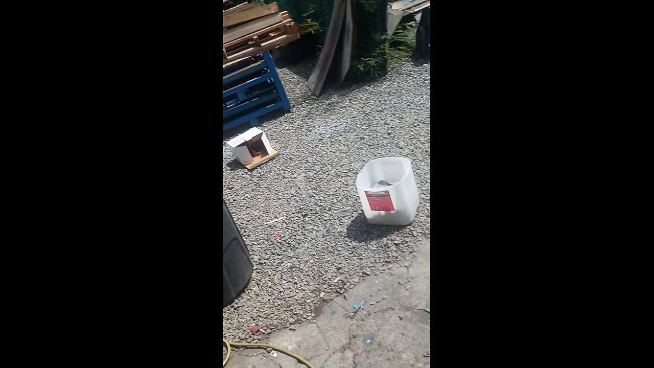 anti-foul paint 101