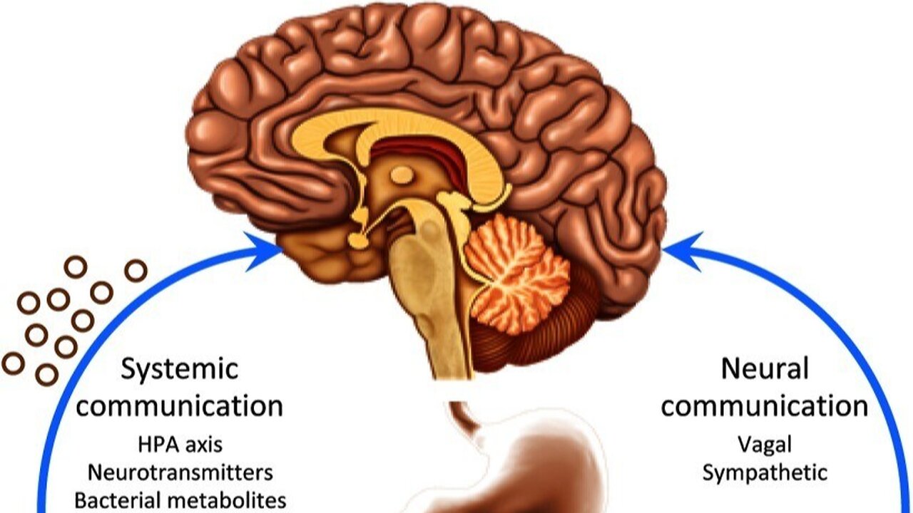 Dopamine is Often Called “Feel-good” Hormone, Oranges