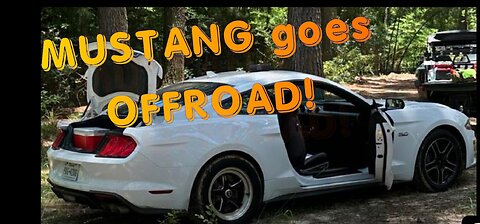 OFFROAD MUSTANG AND SUPPRESSED ARs