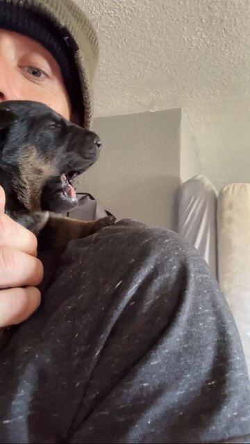 Baby Dog Opens her Eyes