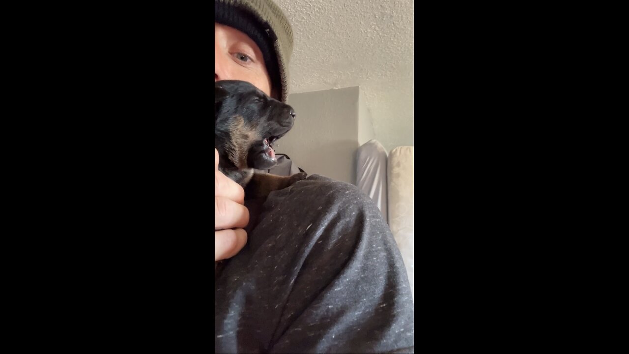 Baby Dog Opens her Eyes