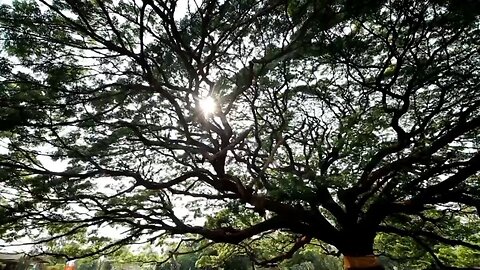 Family Funday day Iuic Suriname