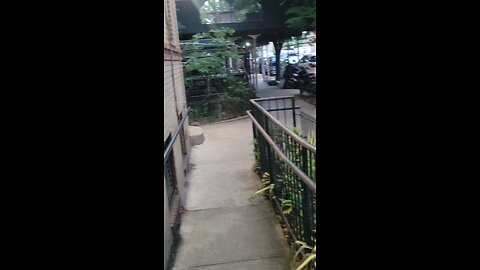 The NY Predators Dept officers engaging in hit and run tactics using noise attacks.