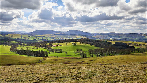 Three mile hike around a tree plantation, Quothquan, Scotland. No talking