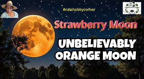 You Won’t Believe How Orange the Strawberry Moon Looks! - #catshobbycorner