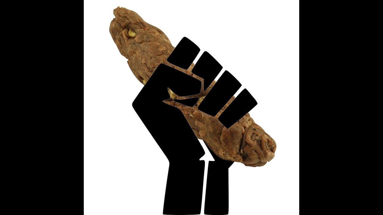 NIGGER RAT GRABBING HIS FILTHY NIGGER SHIT EVERY SINGLE TIME HES SHITTING LOL NGGER