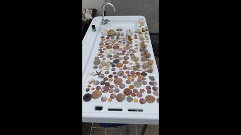 Beach Finds 6/1/2025 | 4K