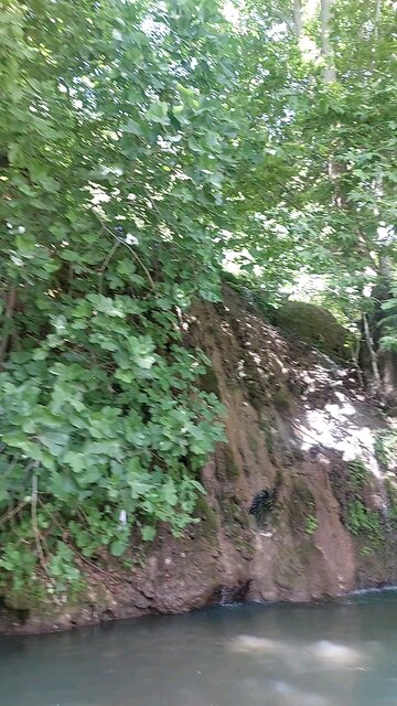 بیشه پیرتو در لرستان البته امسال آب چندانی نداشت ابشار