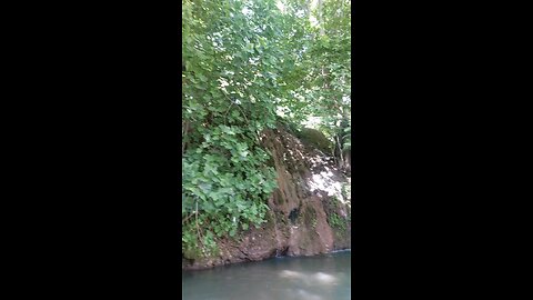 بیشه پیرتو در لرستان البته امسال آب چندانی نداشت ابشار