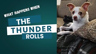 The Thunder Rolls!!