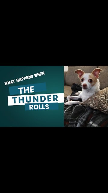 The Thunder Rolls!!