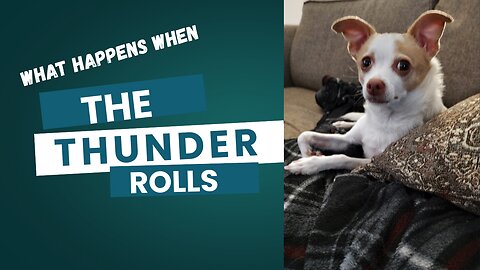 The Thunder Rolls!!