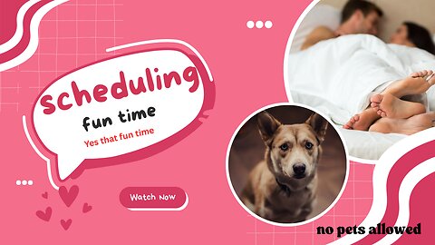 Scheduling Sex, Locking Out Pets, and a Disney Dad's Wallet Woes