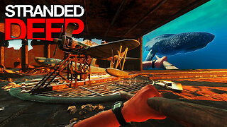 A MOSTLY Friendly Journey To The CARRIER Ship!