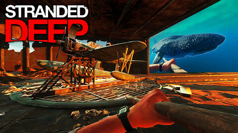 A MOSTLY Friendly Journey To The CARRIER Ship!