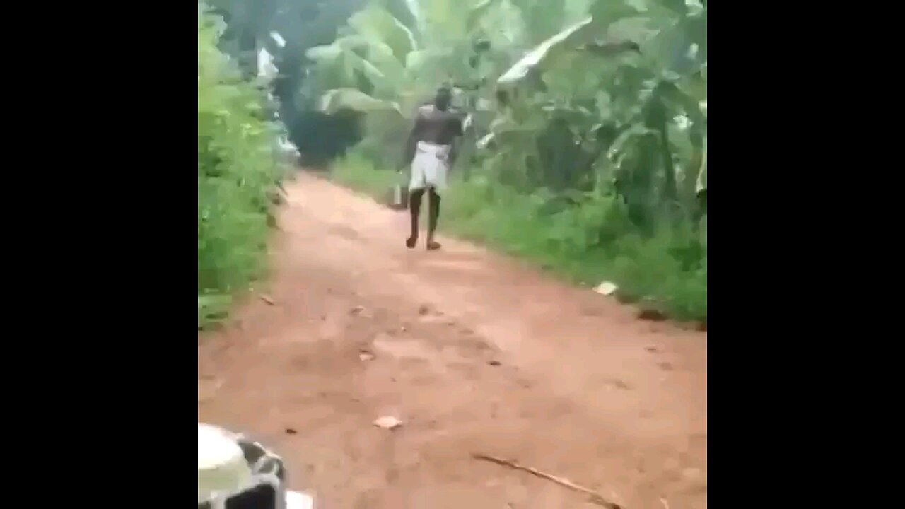 Paambu comedy video Funny snake video🤣😂