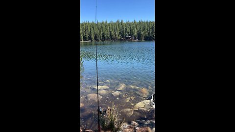 Fuller Lake in California