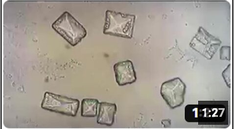 "Examining Biochips in Live Blood Using Phase Contrast, Darkfield & Brightfield Microscopy"
