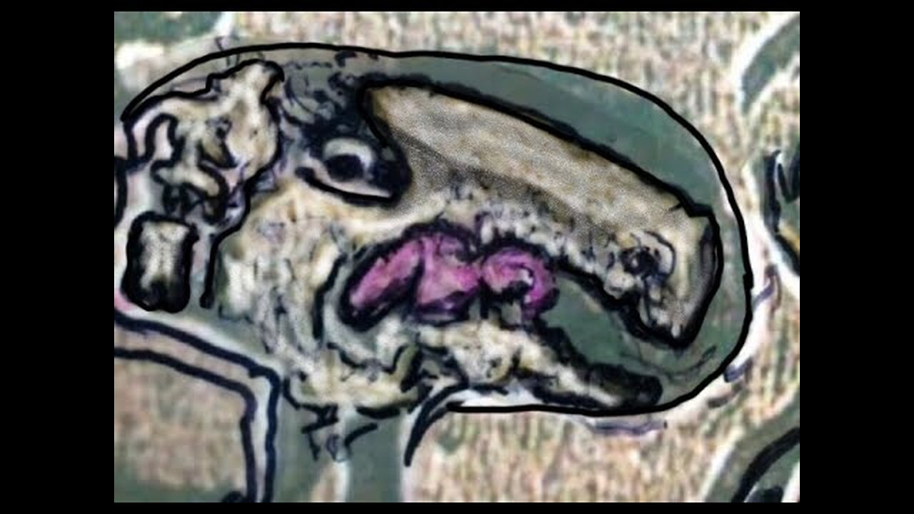 WATCH The SERPENT Race FULLY EXPOSE THEMSELVES Through Their MOCKING Arrogance Hidden in Plain sight