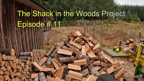 11 Firewood... Yes Firewood! The Shack in the Woods Project
