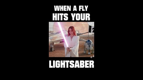 When a Fly 🪰 Hits Your Lightsaber 🗡️