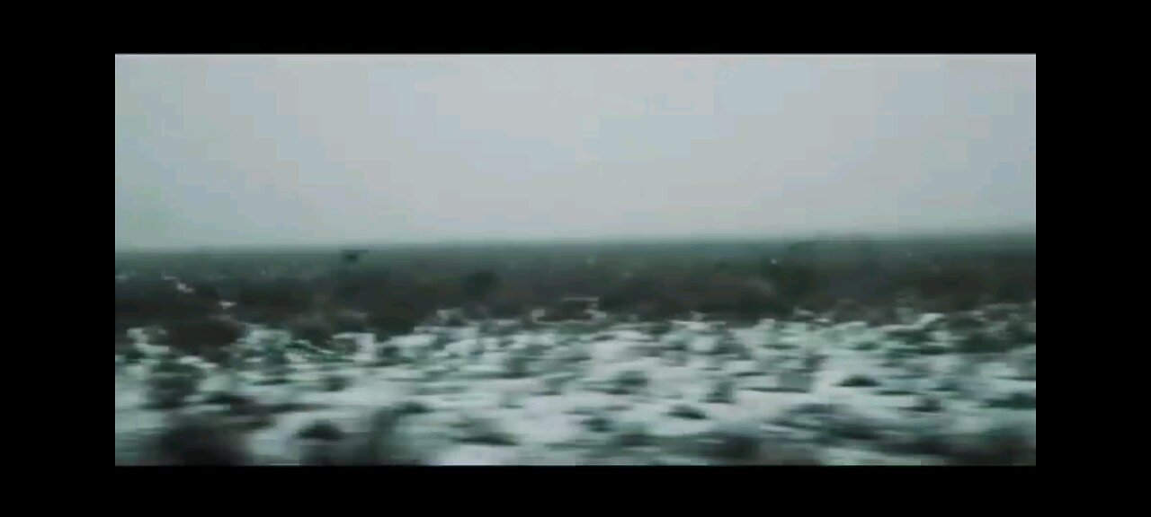 TRUMPS GREENLAND VIDEO
