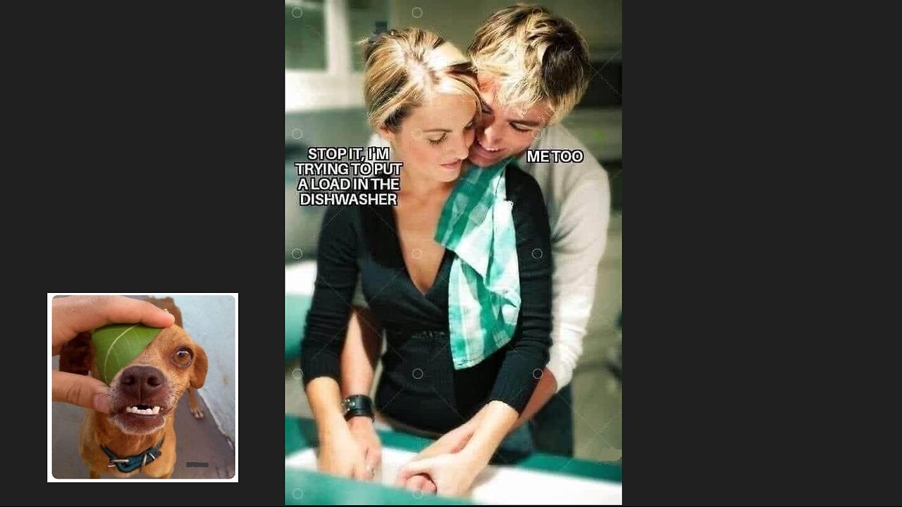 Memes That Will 99.0157% Make You Laugh. (e381)