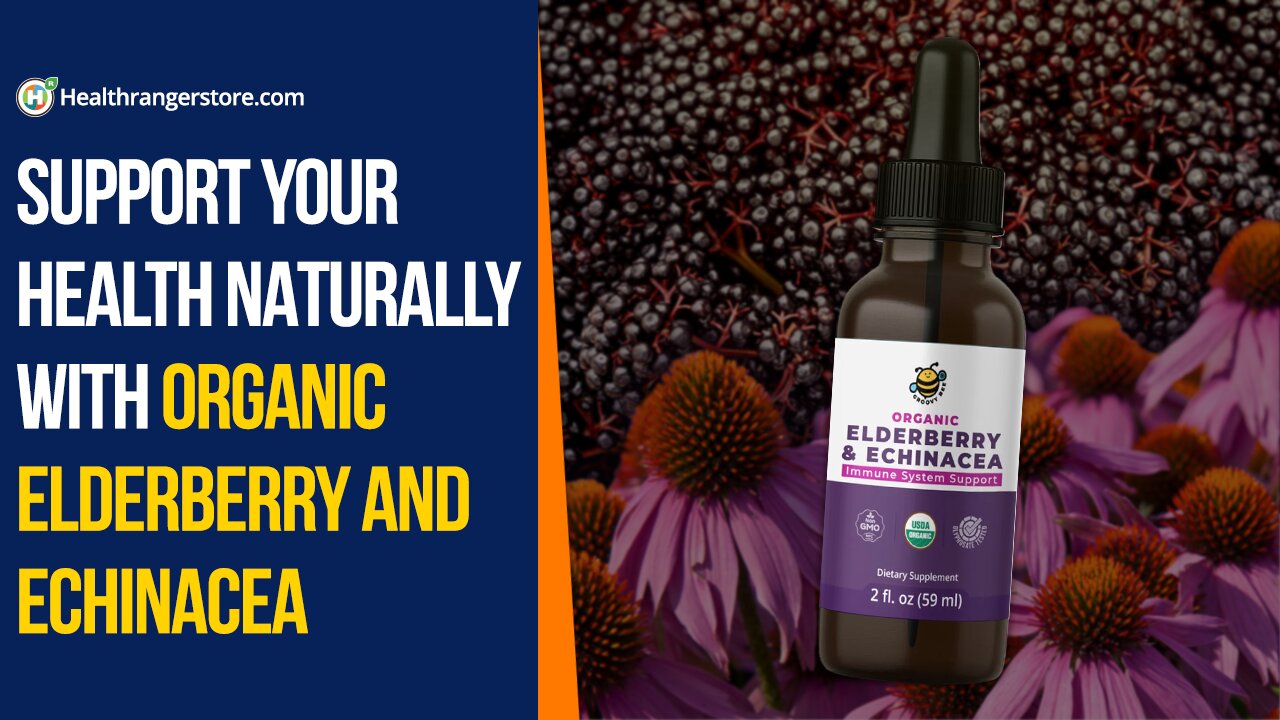 Support your health naturally with Organic Elderberry and Echinacea
