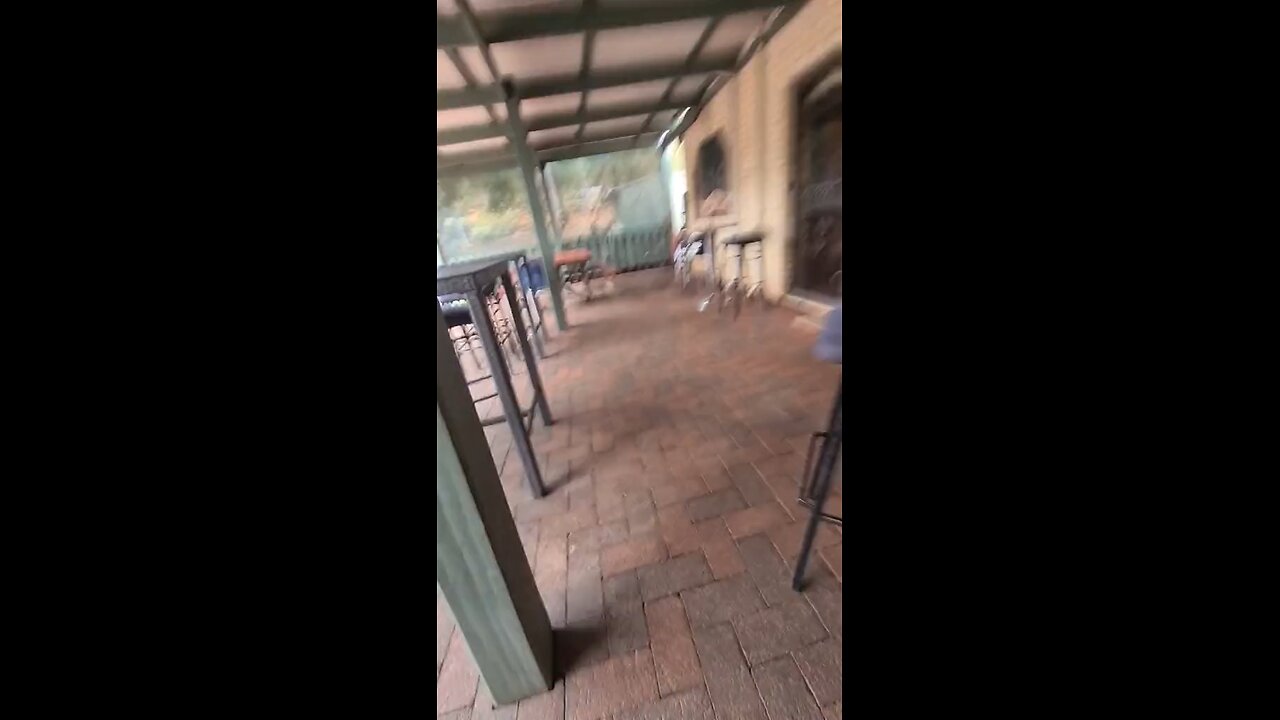 Kangaroo impatient to get into the pub 😅🥰❤️ | only in Australia 🇦🇺