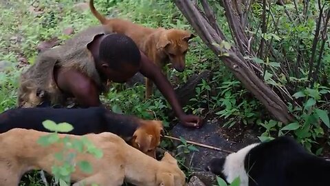 “Hunt to Survive | Hadza Tribe (Unchanged for 50,000 years)”
