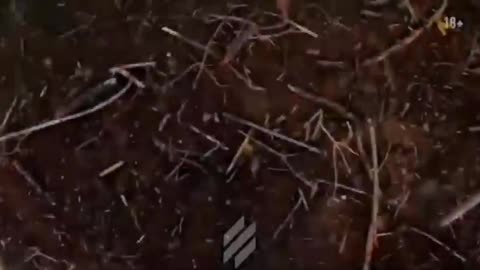 UA POV Ukrainian soldiers getting hit by Russian shell