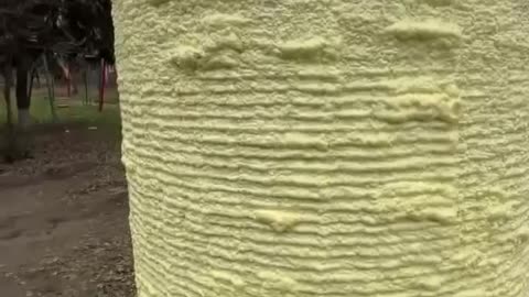 "Look, a barrel of water! It's insulated with foam. Do you think it will help in our cold weather?"