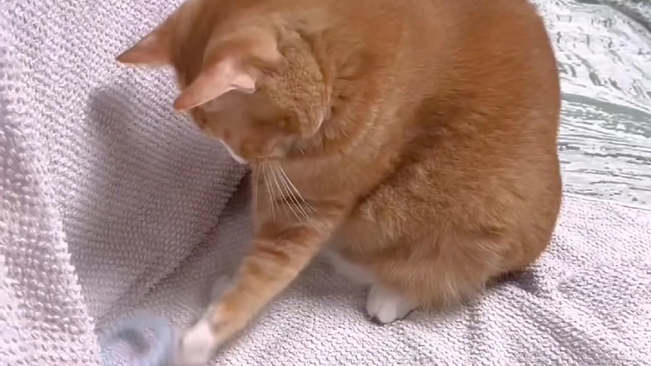 Funny and cute