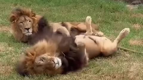 Suntanning effective method 😊