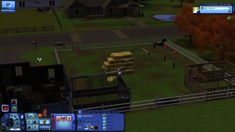Playing the Sims 3!