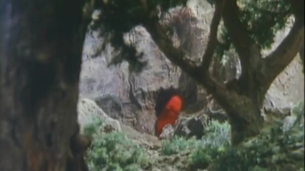 Zone Fighter: Episode 25 (with Special Guest Star Godzilla)