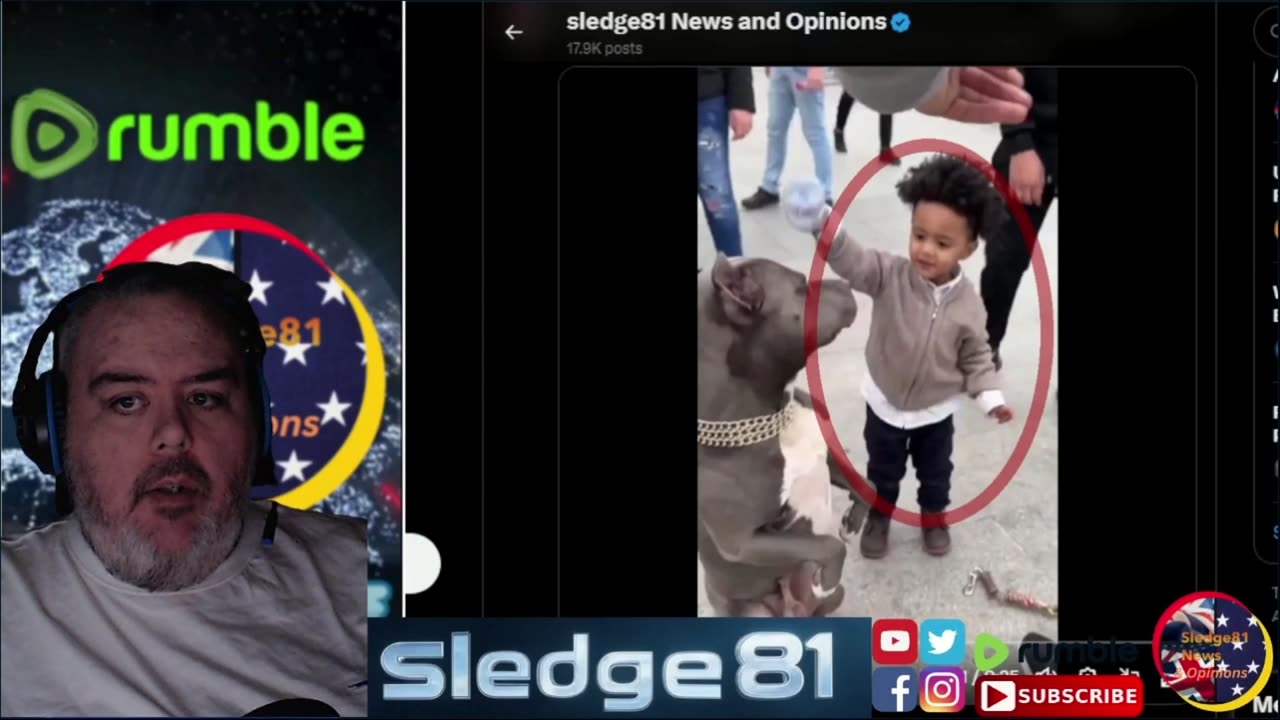 The dogs not the problem the Kid is the Problem