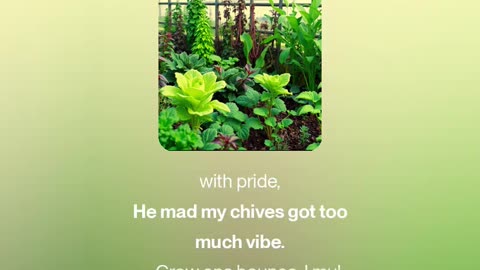 Schiff hates horticulture, Part 2 (1)