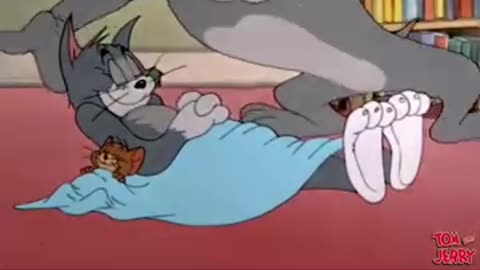 Funny videos