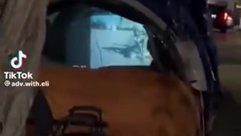 Homeless Have Projectors?