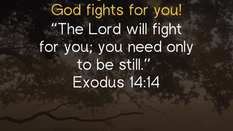 The battle belongs to the Lord. Trust Him to fight for you! 🛡️