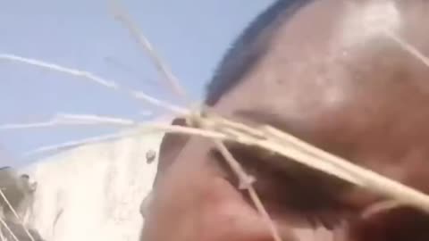 Try Not To LAugh______Wait for end funny videos