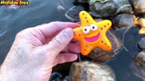 Clean Jellyfish that Fall Into the Mud with Fresh Water