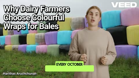 Wrapped with Purpose:Why Dairy Farmers Use Colourful Bale Wraps