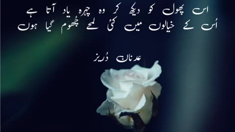 urdu plus | udaas urdu poetry | poetry collection | today poetry