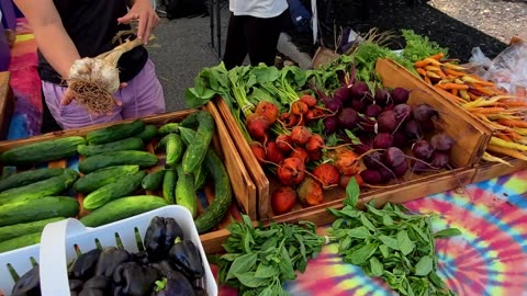 Mid-July Farmers' Market at the South County Seasonal Farmers Market! 7-12-25