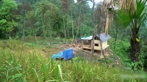 Part 8: The First Walls – Her Cabin Starts Taking Shape