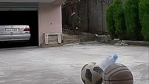 Trick shot triumphs