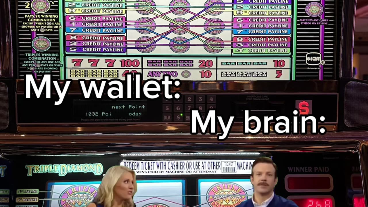 YOLO 🤣😂🤣