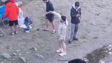 Immigrants Seen Trying to Touch Wild Bear